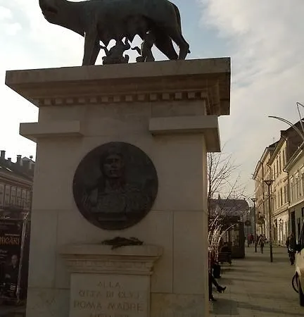 M Kluż-Napoka
