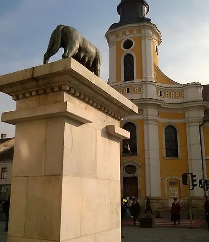 M Apartment Cluj-Napoca